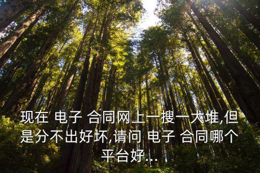 現(xiàn)在 電子 合同網(wǎng)上一搜一大堆,但是分不出好壞,請(qǐng)問(wèn) 電子 合同哪個(gè)平臺(tái)好...