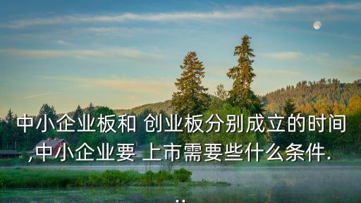 中小企業(yè)板和 創(chuàng)業(yè)板分別成立的時間,中小企業(yè)要 上市需要些什么條件...