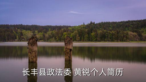 長(zhǎng)豐縣政法委 黃銳個(gè)人簡(jiǎn)歷