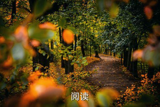 跳蛋閱讀