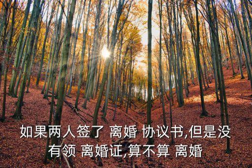 離婚協(xié)議寫(xiě)了沒(méi)領(lǐng)證件,打印離婚協(xié)議需要什么證件嗎
