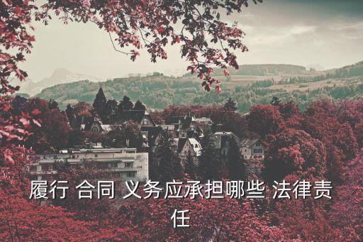 履行 合同 義務(wù)應(yīng)承擔(dān)哪些 法律責(zé)任
