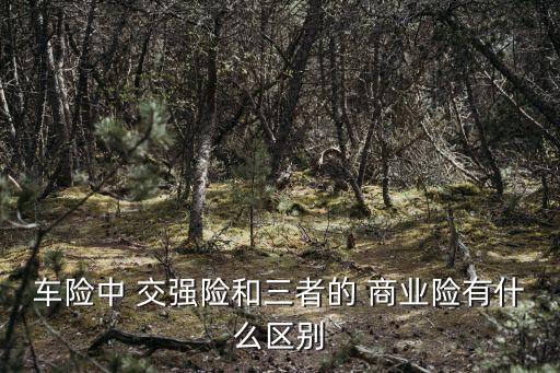 車險(xiǎn)中 交強(qiáng)險(xiǎn)和三者的 商業(yè)險(xiǎn)有什么區(qū)別