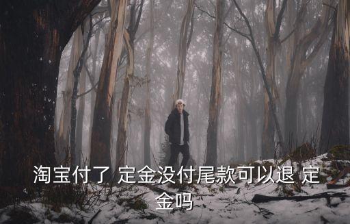  淘寶付了 定金沒付尾款可以退 定金嗎