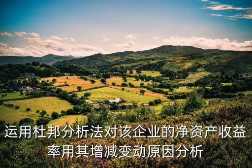 權(quán)益凈利率