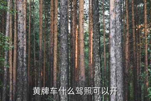 黃牌車什么駕照可以開