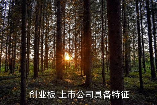 創(chuàng)業(yè)板 上市公司具備特征