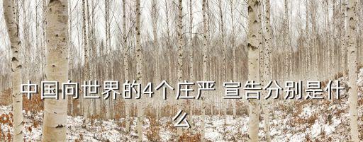 什么的宣告