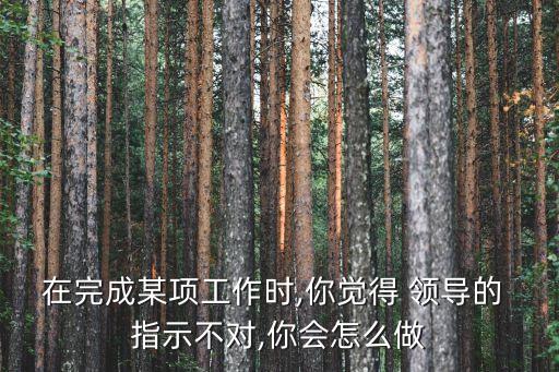 領(lǐng)導指示