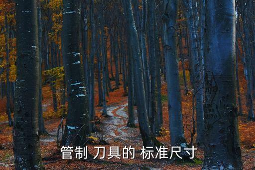 管制刀具認(rèn)定標(biāo)準(zhǔn),公安部管制刀具認(rèn)定標(biāo)準(zhǔn)