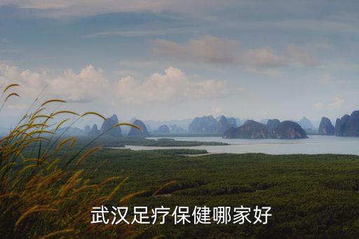  武漢足療保健哪家好