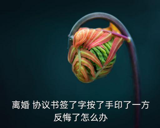  離婚 協(xié)議書簽了字按了手印了一方 反悔了怎么辦