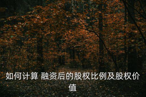 融資股份