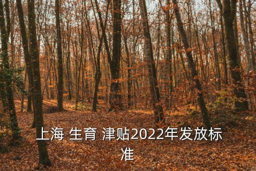  上海 生育 津貼2022年發(fā)放標(biāo)準(zhǔn)