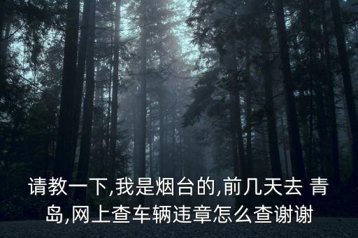 請(qǐng)教一下,我是煙臺(tái)的,前幾天去 青島,網(wǎng)上查車輛違章怎么查謝謝