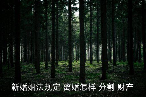 新婚姻法規(guī)定 離婚怎樣 分割 財(cái)產(chǎn)
