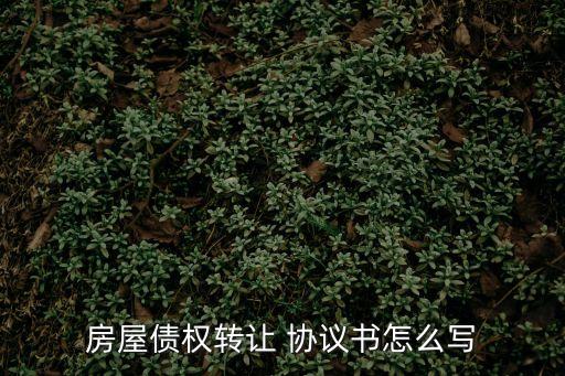 債務轉移協議書范本,欠債超過三年了還能起訴嗎