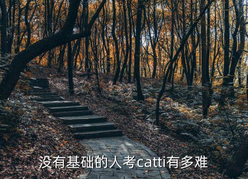 沒有基礎(chǔ)的人考catti有多難