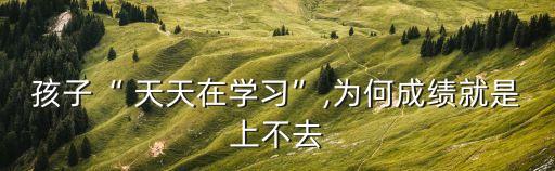 孩子“ 天天在學(xué)習(xí)”,為何成績就是上不去