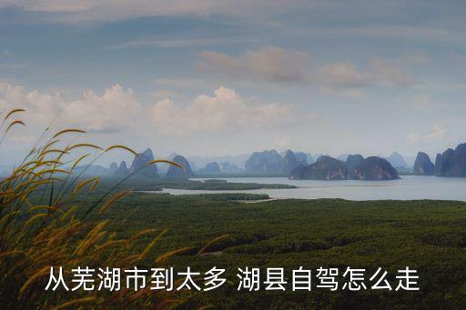 從蕪湖市到太多 湖縣自駕怎么走