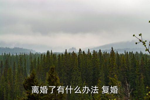 離婚了有什么辦法 復(fù)婚