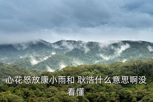 心花怒放康小雨和 耿浩什么意思啊沒看懂