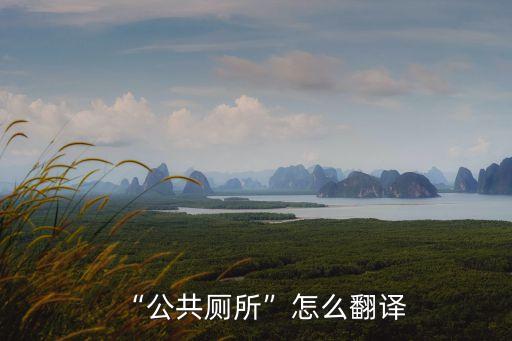 “公共廁所”怎么翻譯