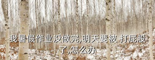 我暑假作業(yè)沒做完,明天要被 打屁股了,怎么辦