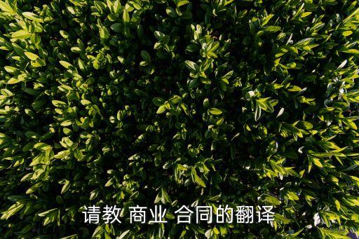 商業(yè)合同英語(yǔ)怎么說(shuō),和安德森先生討論合同用英語(yǔ)怎么說(shuō)