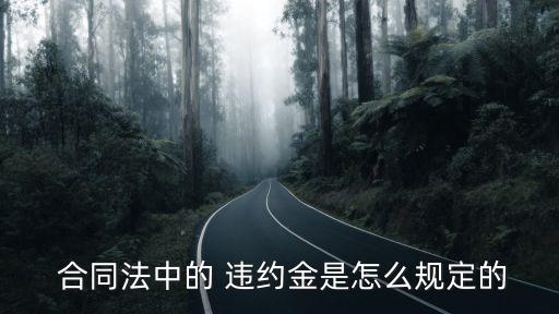  合同法中的 違約金是怎么規(guī)定的