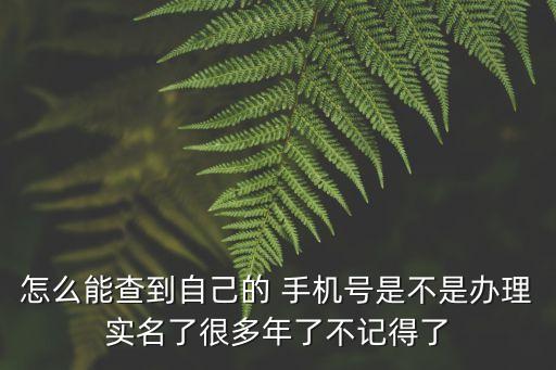 怎么能查到自己的 手機(jī)號(hào)是不是辦理實(shí)名了很多年了不記得了