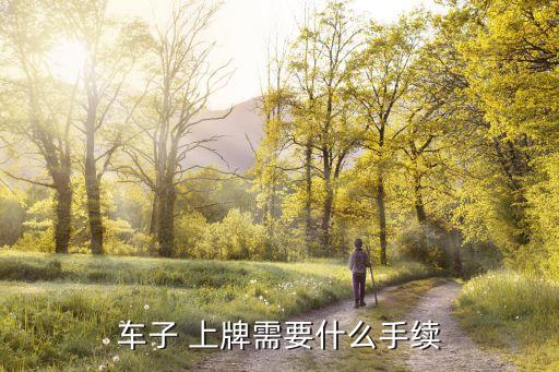 車子 上牌需要什么手續(xù)