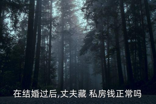 老公藏私房錢,怎么治老公藏私房錢