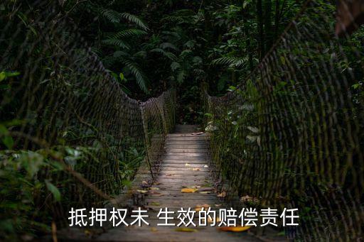  抵押權(quán)未 生效的賠償責(zé)任