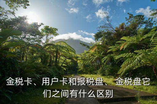 金稅盤是什么,怎么下載開票軟件金稅盤版