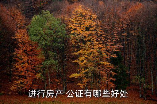 進(jìn)行房產(chǎn) 公證有哪些好處