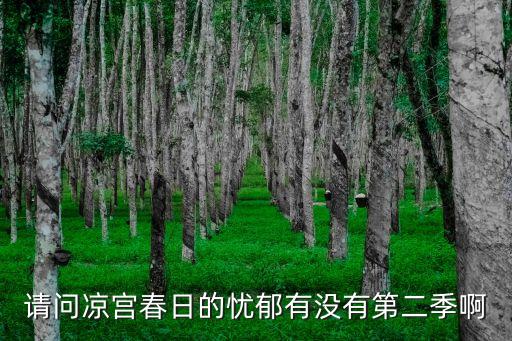 請問涼宮春日的憂郁有沒有第二季啊