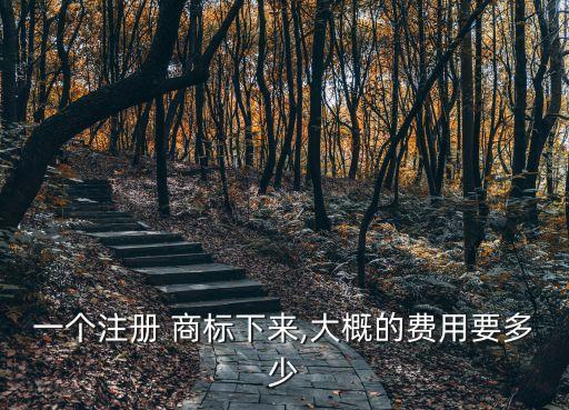 一個注冊 商標下來,大概的費用要多少