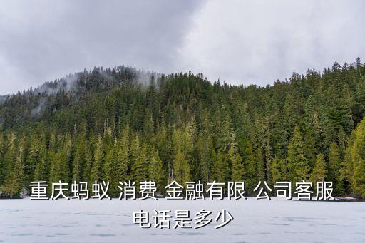 消費(fèi)金融公司