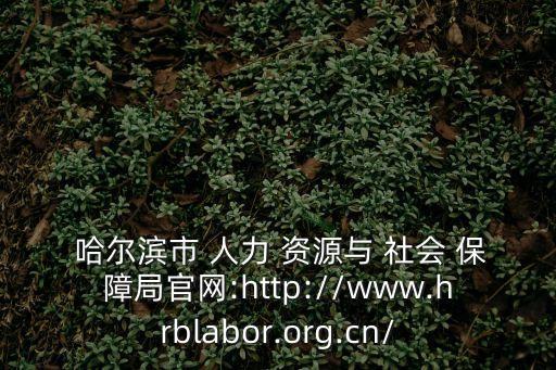  哈爾濱市 人力 資源與 社會 保障局官網(wǎng):http://www.hrblabor.org.cn/