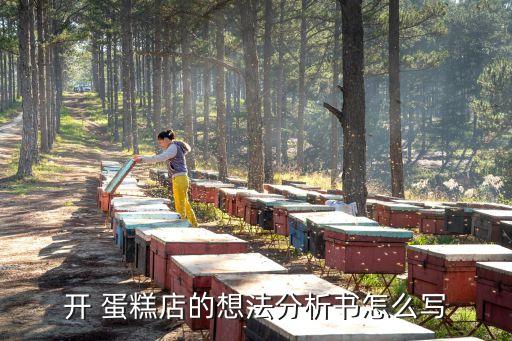 蛋糕店創(chuàng)業(yè)計劃書,大學(xué)生diy蛋糕店創(chuàng)業(yè)計劃書