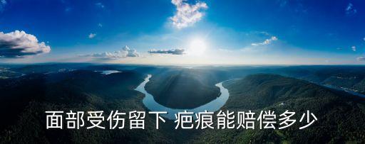 臉上留疤痕的一般賠多少錢的,臉上受傷留疤屬于幾級傷殘