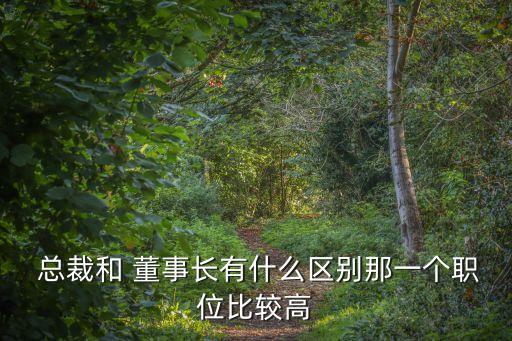 總裁和董事長(zhǎng)的區(qū)別,董事長(zhǎng) 總裁 ceo哪個(gè)最大