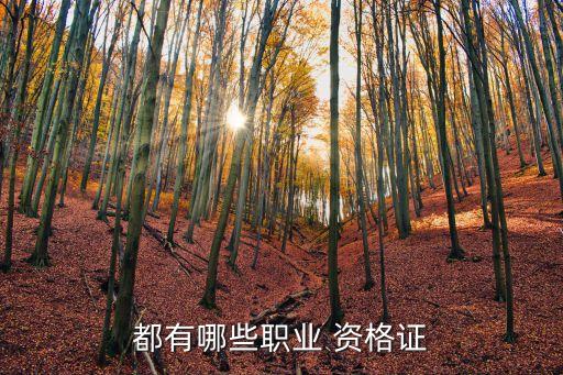 都有哪些職業(yè) 資格證
