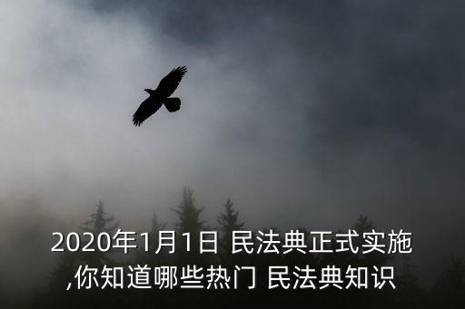2020年1月1日 民法典正式實(shí)施,你知道哪些熱門 民法典知識(shí)