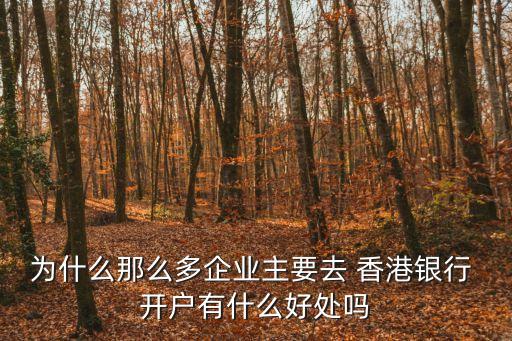 為什么那么多企業(yè)主要去 香港銀行 開戶有什么好處嗎