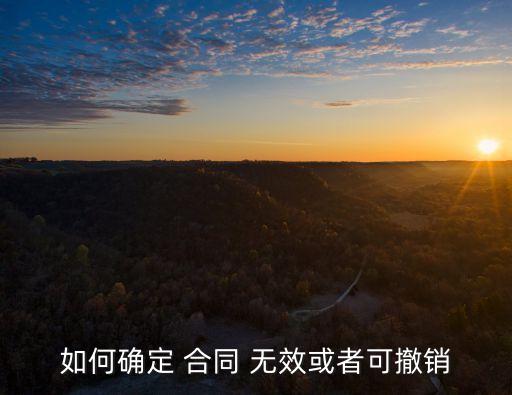 如何確定 合同 無效或者可撤銷