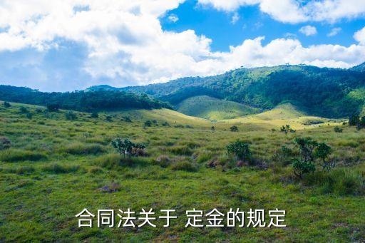合同法關(guān)于 定金的規(guī)定