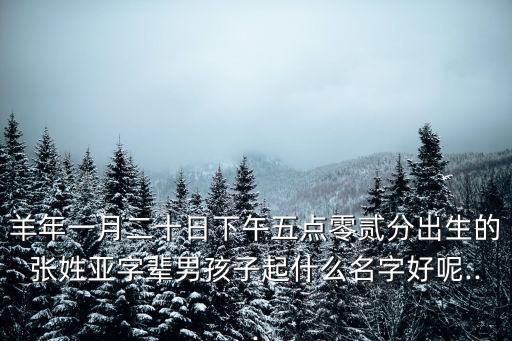 羊年一月二十日下午五點(diǎn)零貳分出生的張姓亞字輩男孩子起什么名字好呢...