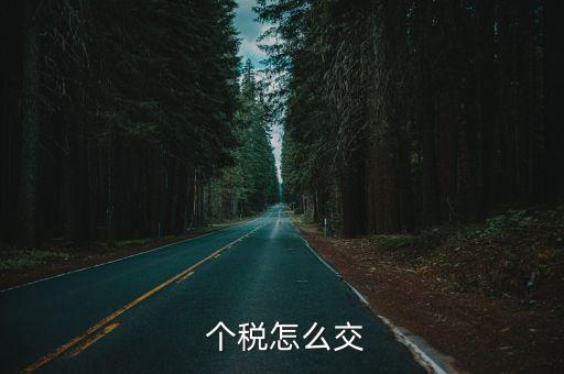  個(gè)稅怎么交